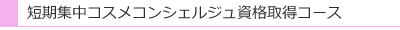 短期集中コスメコンシェルジュ資格取得コース